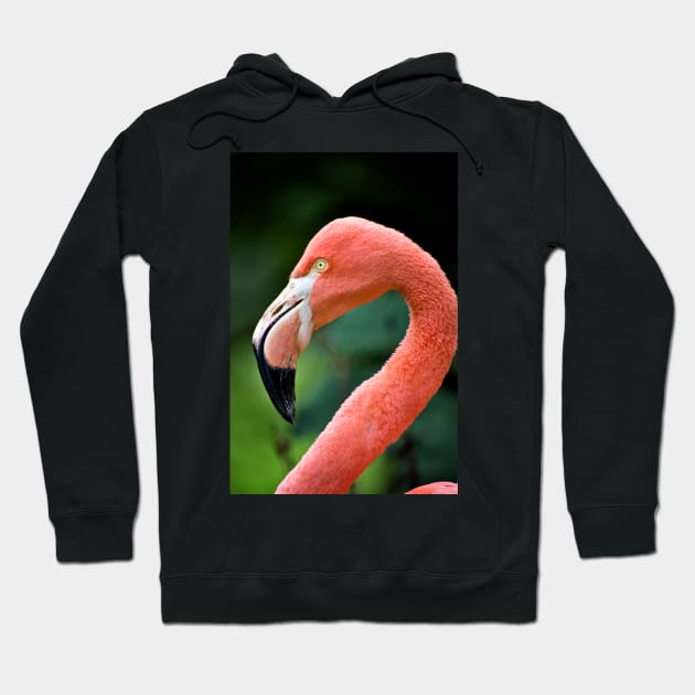 Flamingo Bird Hoodie by InspiraImage